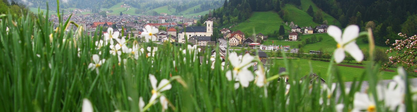 narava se prebuja.....