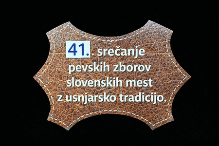 41_srečanje