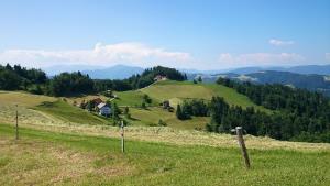 Panorama na Mrzlem vrhu