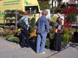 Prodajne stojnice domačih izdelkov in cvetlični sejem